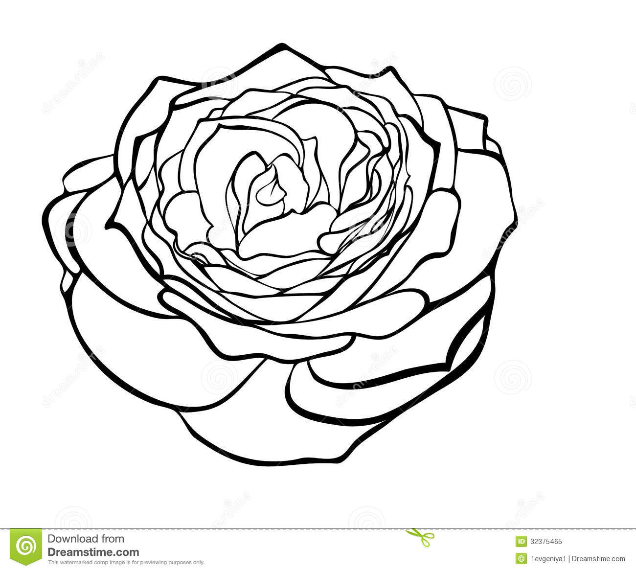 1300x1169 Black And White Rose Drawing