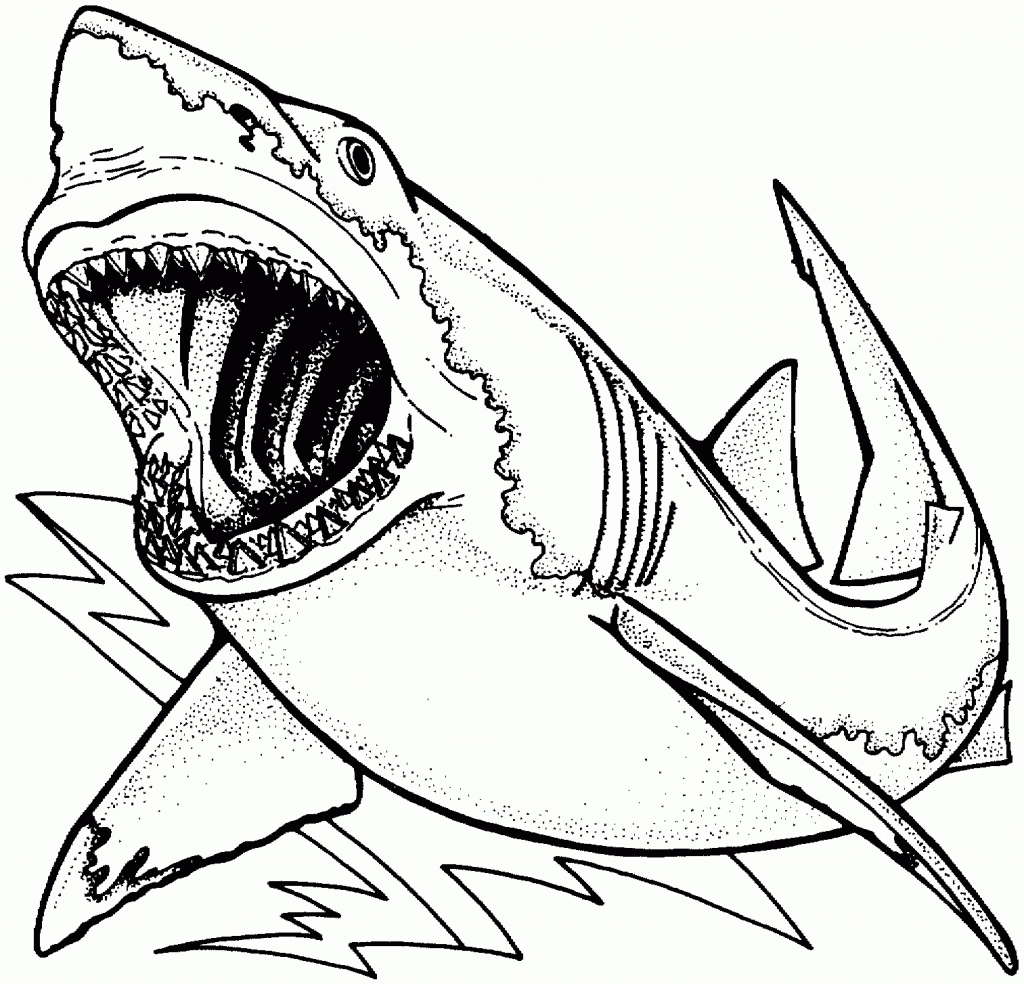 1024x984 Great White Shark Coloring Pages And Fish Drawing Page