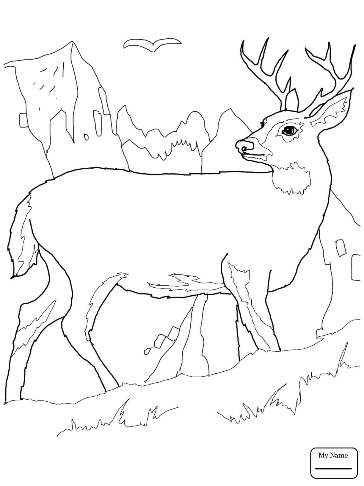 1224x1632 Coloring Pages For Kids White Tailed Deers White Tail Deer Baby