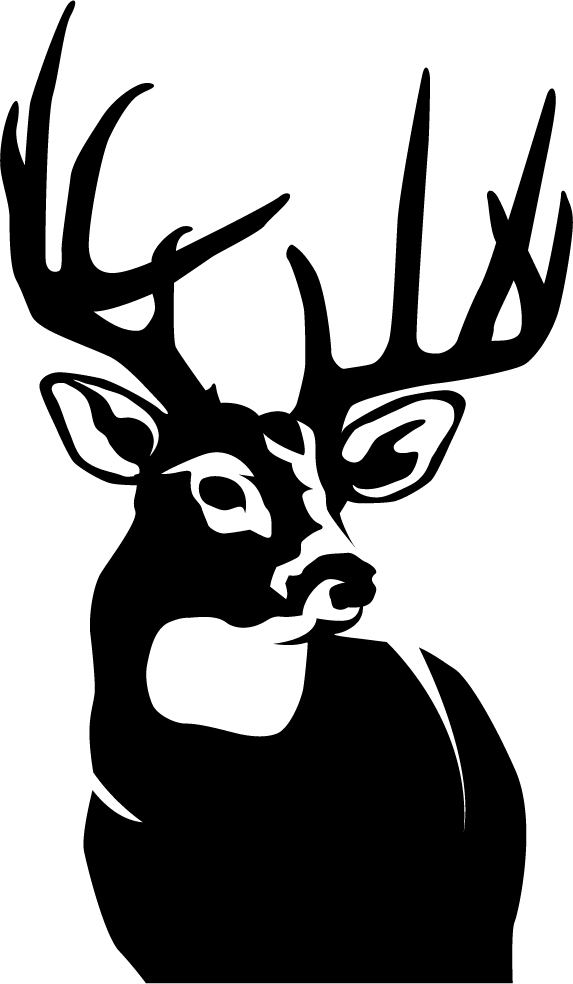 573x984 Perfect 10 Whitetail Deer Wall Decal
