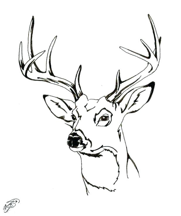 618x736 Spectacular Astounding Whitetail Deer Coloring Pages Kids Hunting