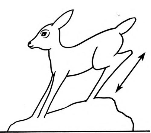 500x440 How To Whittle A White Tailed Deer