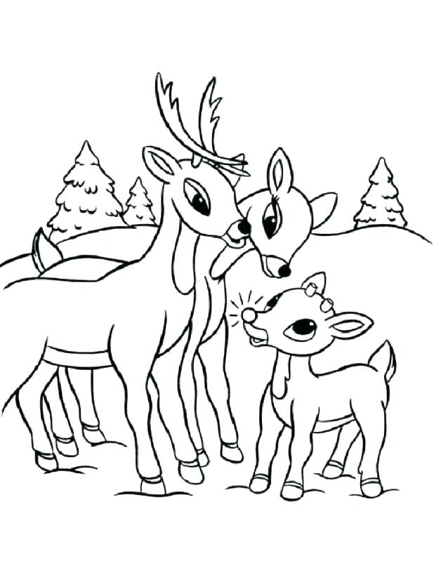 618x799 Whitetail Deer Coloring Pages Deer Coloring Pages For Kids White