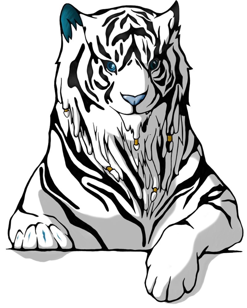 801x998 The White Tiger By Thelieutenant