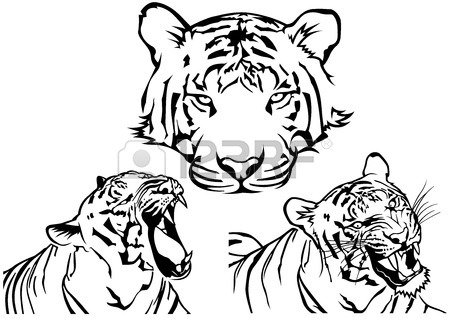 450x318 Tiger Tattoo Drawings