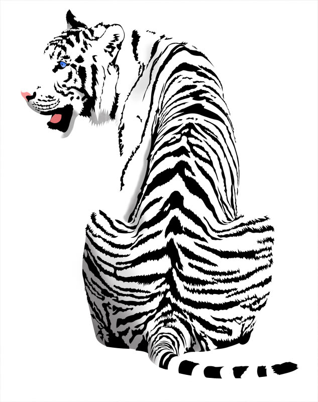 633x800 White Tiger By Mvjnz