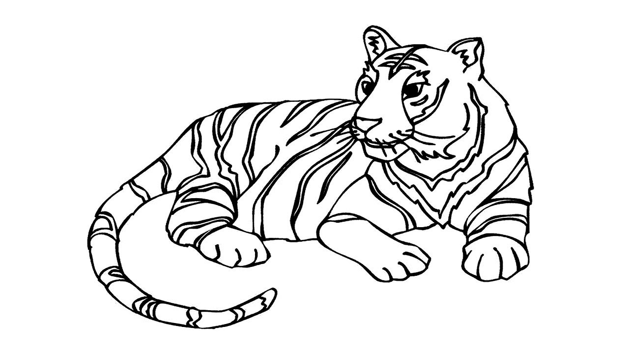 1280x720 Coloring Pages How To Draw A Tiger How To Draw A Tiger Face