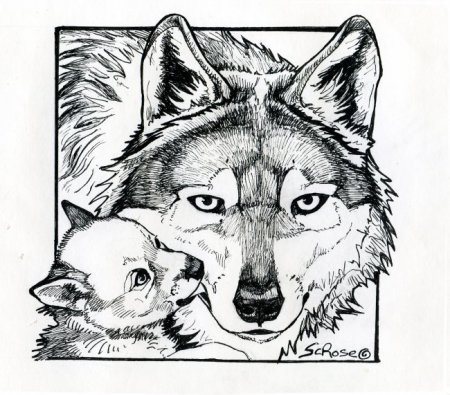 450x395 Coloring Pages Go Teach Kids About The Mexican Wolf! Wildlife