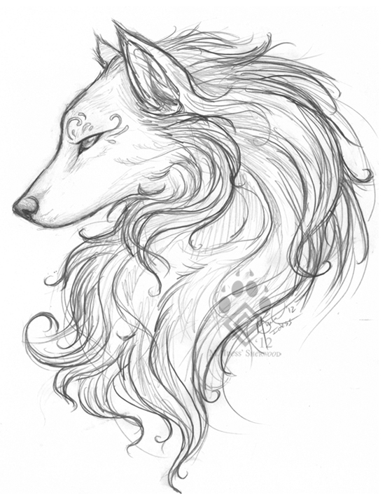 550x713 White Wolf Sketch By Idess