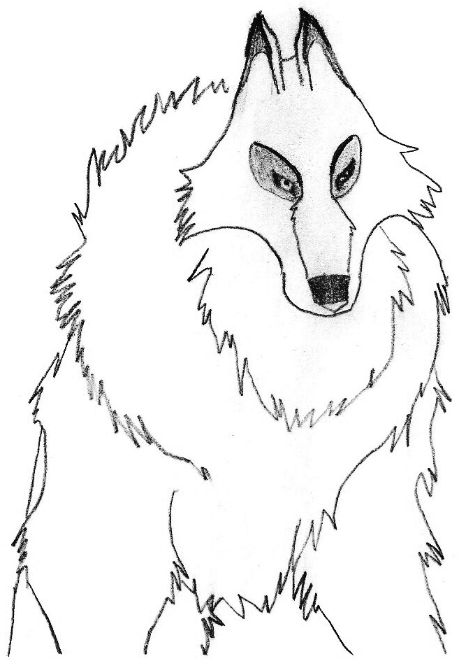 657x945 White Wolf By Bitten2007