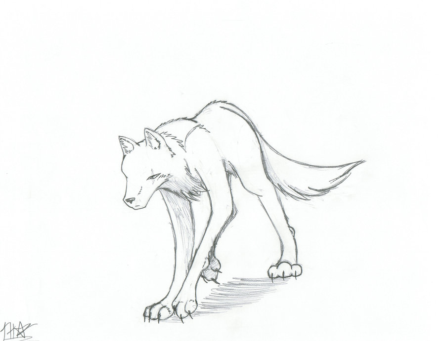 900x691 Arctic Wolf By Lunarwarrior21