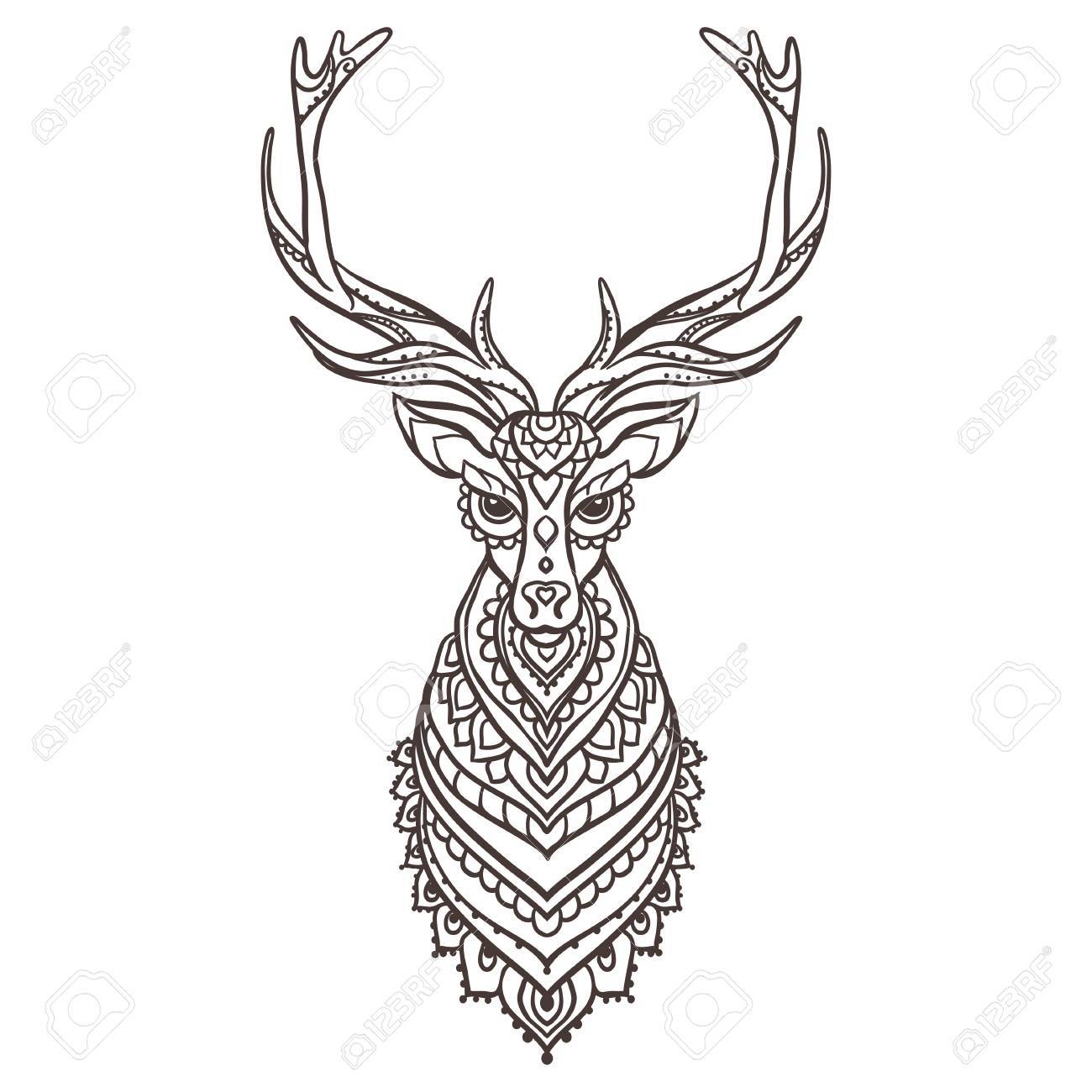 Whitetail Deer Vector at GetDrawings | Free download