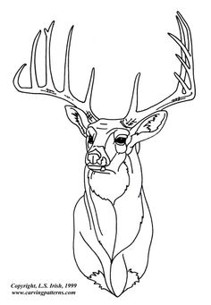 236x341 Glass Etching Stencil Of Whitetail Buck. In Category North
