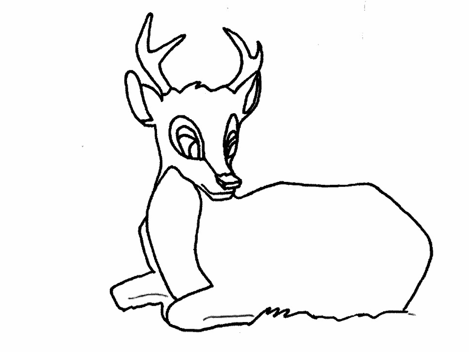 956x718 White Tailed Deer Coloring Page Many Interesting Cliparts