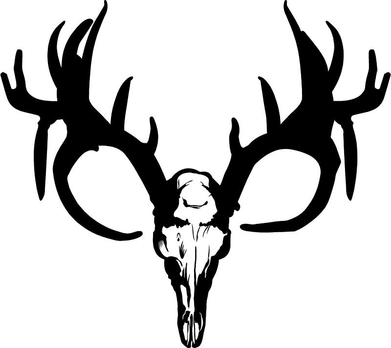 800x712 Buck Deer Skull Clip Art