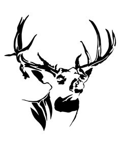 236x283 Cool black and white drawings Texas Whitetail Deer Sketches
