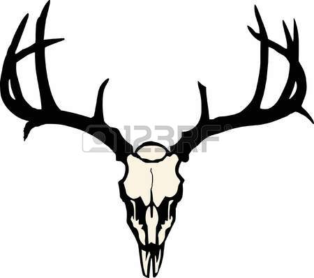 Whitetail Deer Skull Drawing at GetDrawings | Free download