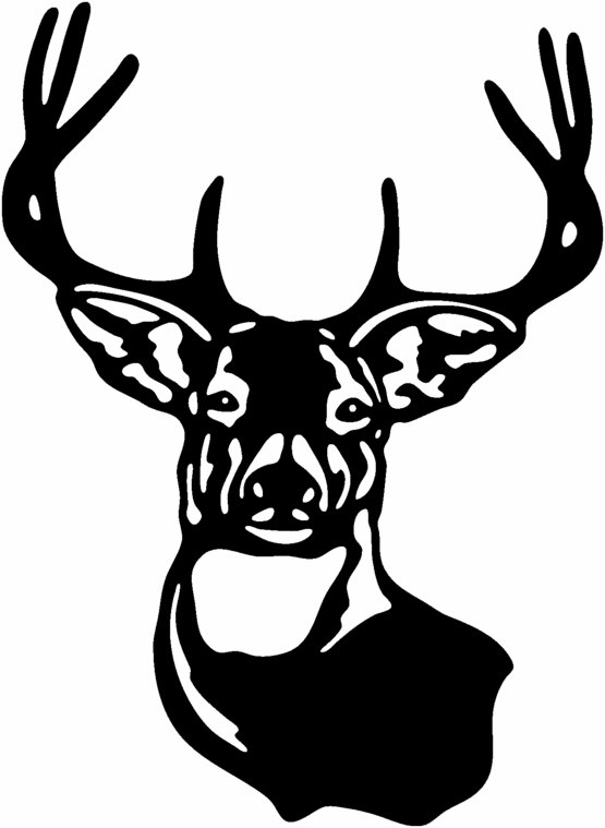 555x759 Deer Head Hunting Buck Gloss Vinyl Window Car Wall Decal Offered