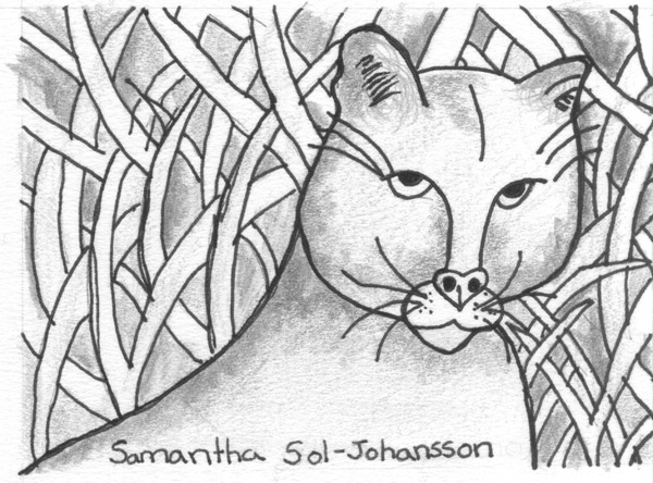 600x444 Learning Activities