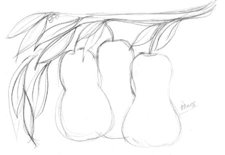 450x311 Composition Drawing Lessons From Unit 6 Of The Complete Drawing