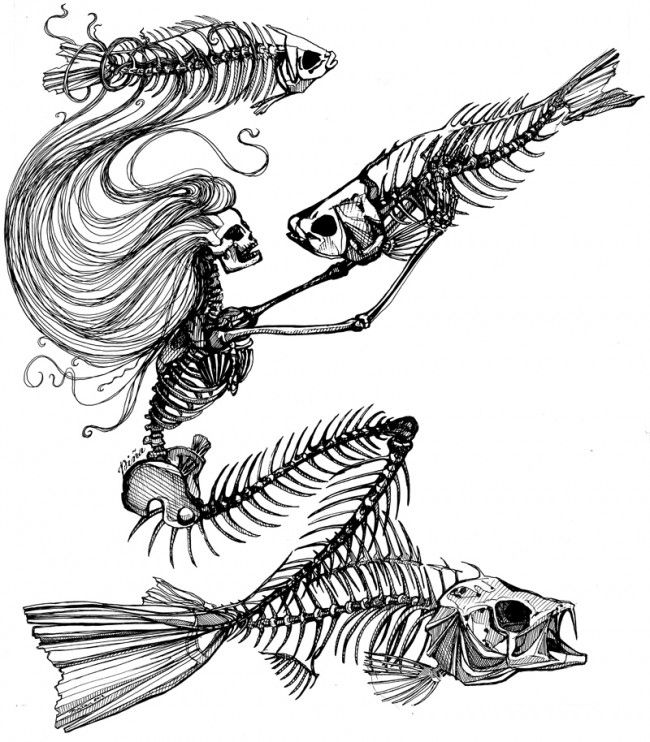 650x742 Skeletonmermaidcods