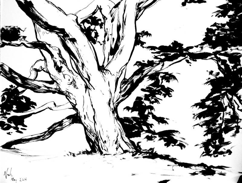 800x605 21 Days To Be A Better Artist Noah Bradley Medium