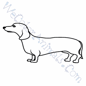 300x300 Wiener Dog Coloring Pages