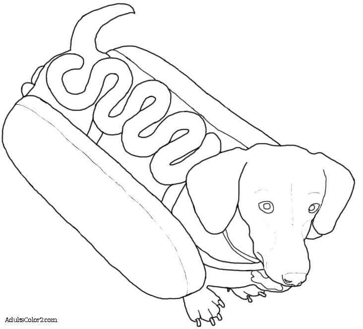 732x663 Dachshund Coloring Page Art Of Dachshund Single Coloring Page