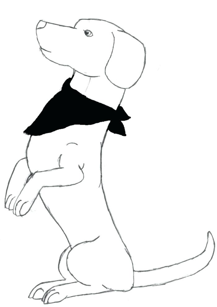 700x989 Dachshund Coloring Pages Together With Dachshund Dog Coloring Page
