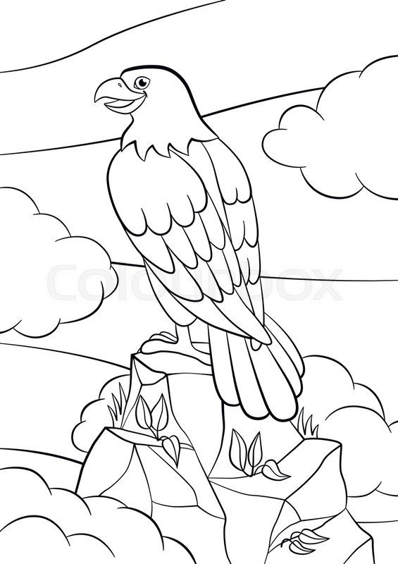 565x800 Coloring Pages. Wild Birds. Cute Eagle Sits On The Rock And Smiles