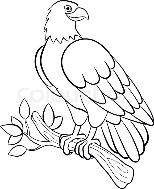 653x800 Coloring Pages. Wild Birds. Cute Smiling Eagle Sits On The Tree