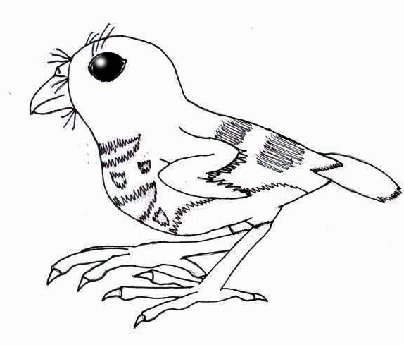 574x489 Future Is Wild Creation Kiwer Bird By Flipperboidskua