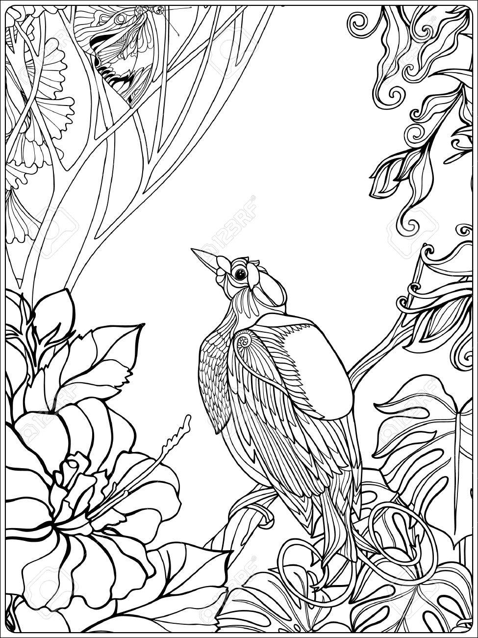 975x1300 Tropical Wild Birds And Plants. Tropical Garden Collection