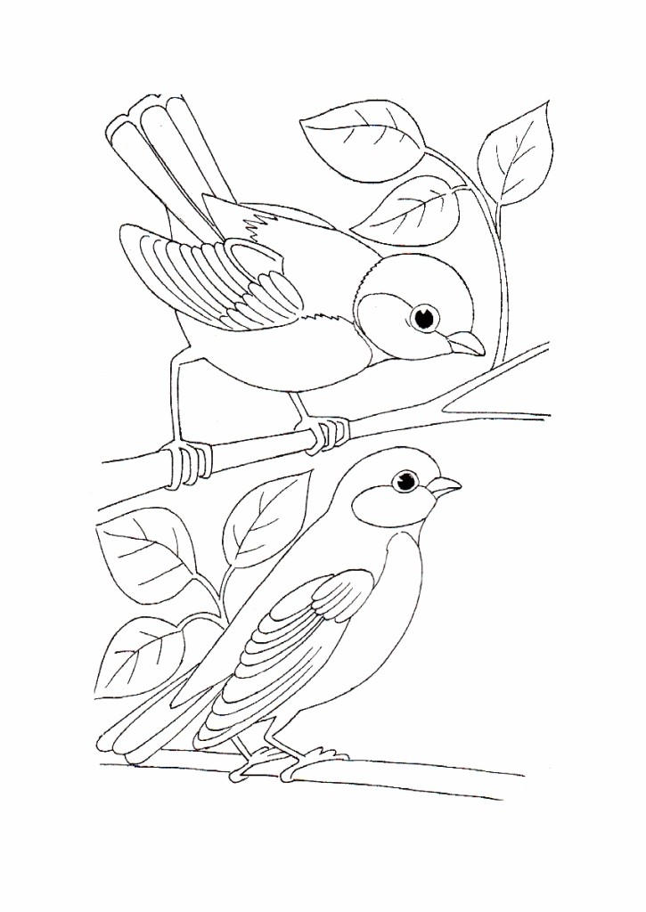 725x1024 Wild Bird Coloring Pages Stitcheryness Bird