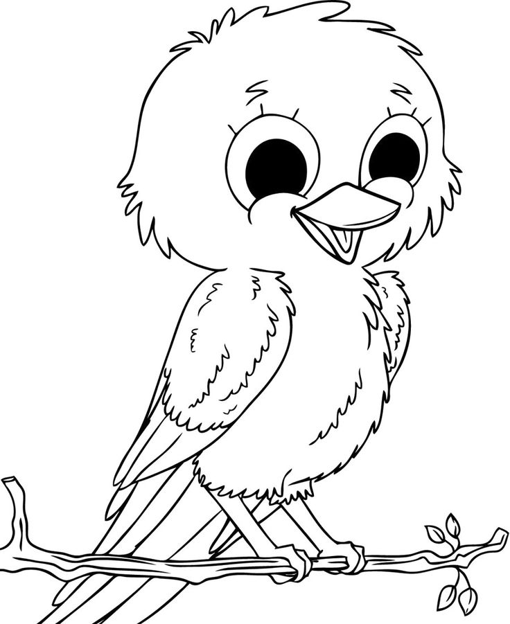 736x901 Baby Bird Coloring Page Wild Bird Coloring Pages For Kids From Drs