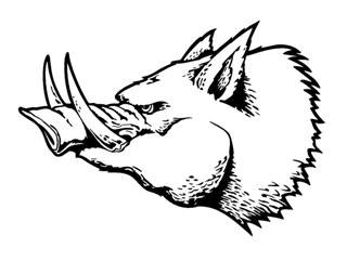 320x241 Razorback Wild Boar Decal Sticker