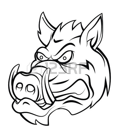 392x450 Wild Boar Head Royalty Free Cliparts, Vectors, And Stock