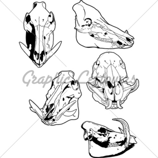 325x325 Wild Boar Head Gl Stock Images
