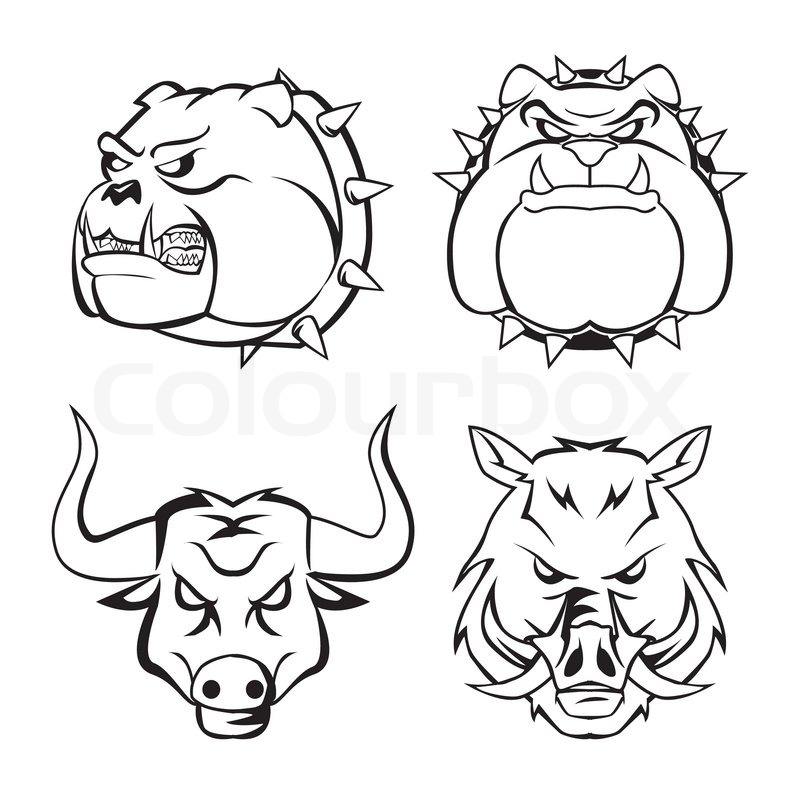 800x794 Bull Dog, Wild Boar Amp Bull Heads Stock Vector Colourbox