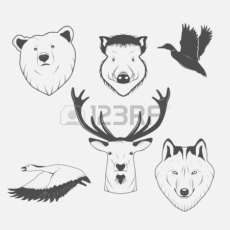 450x450 Hunting Wild Pigs Stock Photos. Royalty Free Business Images