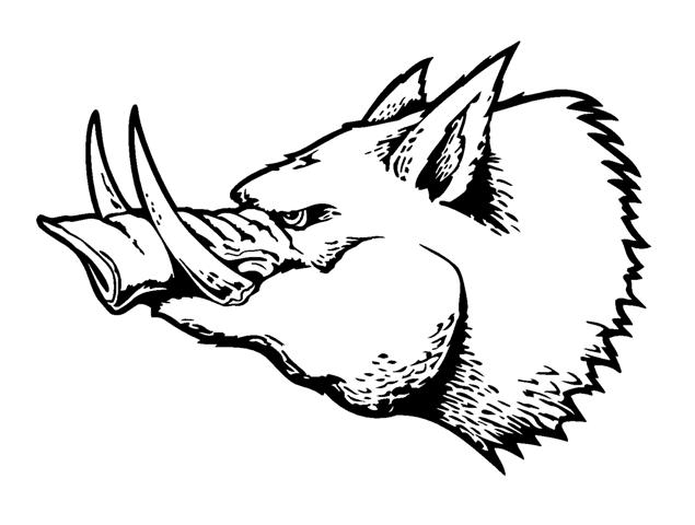635x480 Razorback Wild Boar Decal Sticker