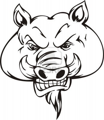 346x400 Wild Boar Head Tattoos Design
