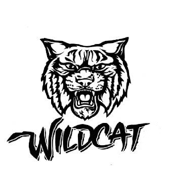 Wild Cat Drawing