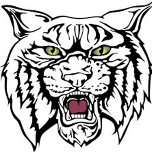 500x500 Wildcat Football