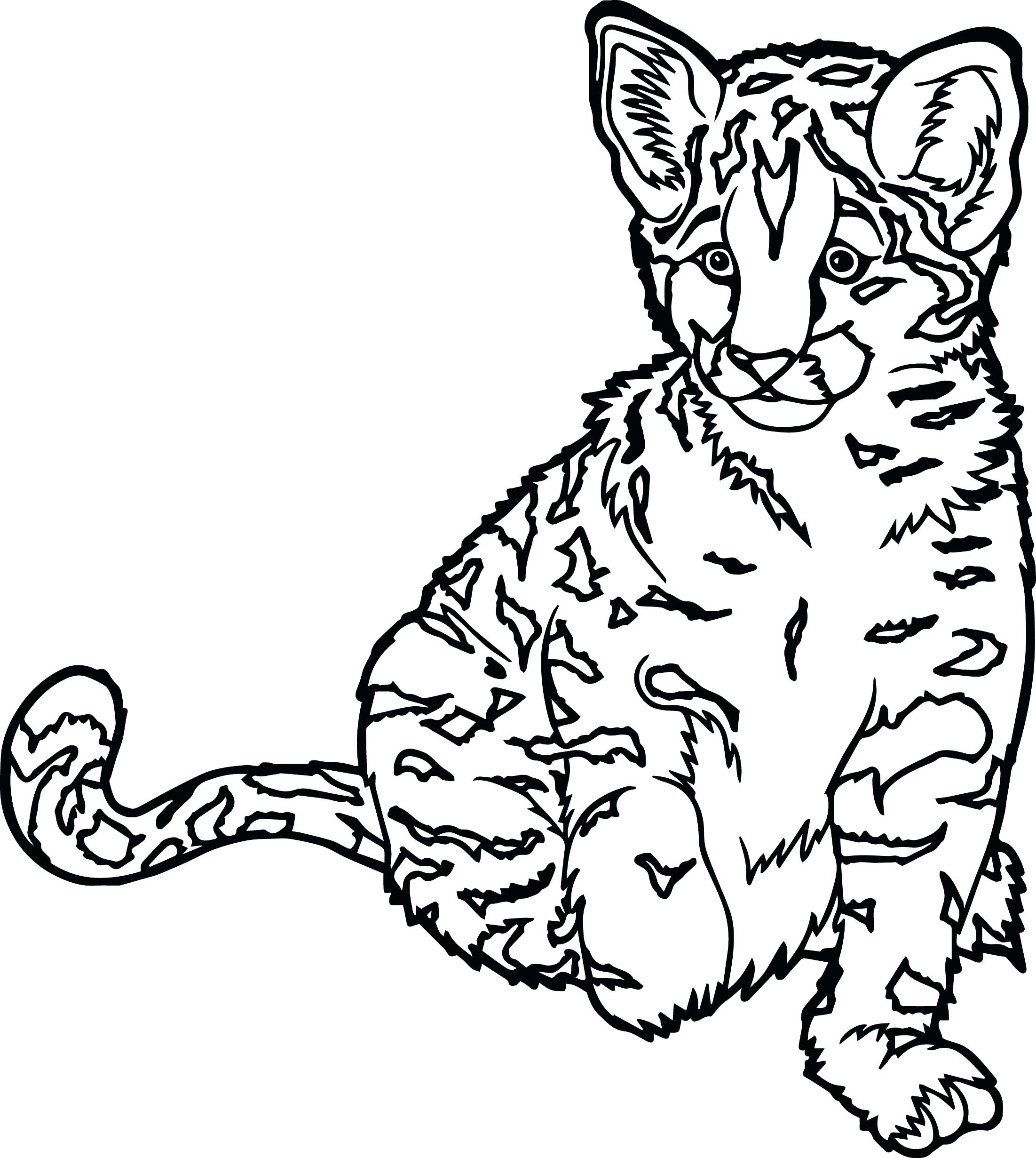 2203x2461 Coloring Wild Cats Coloring Pages