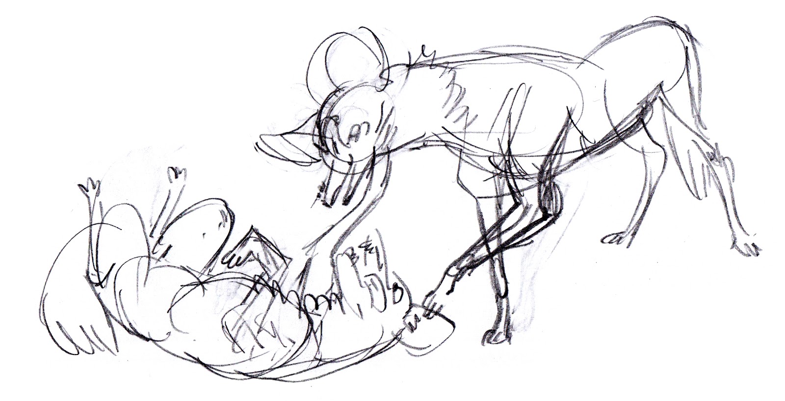 1600x819 Lark Animation