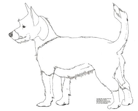 445x360 Wild Dog Coloring Pages