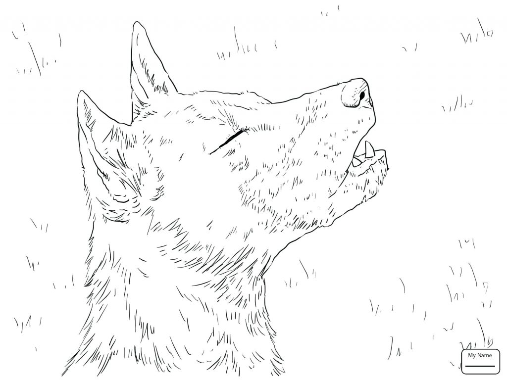 1024x768 Coloring Pages ~ Hunting Coloring Pages Mammals Wild Dog
