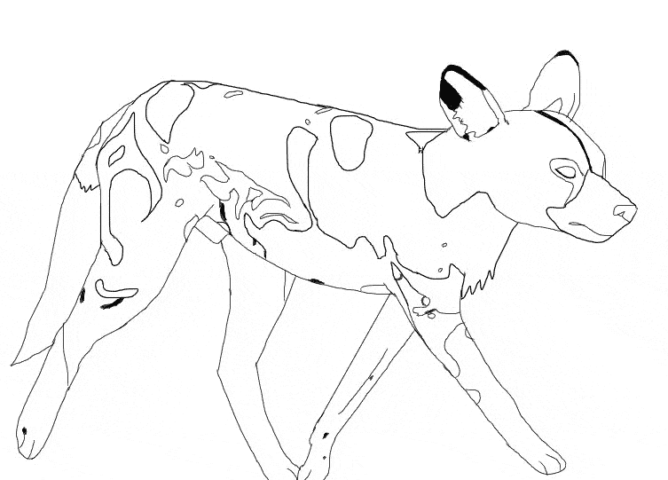 753x541 African Wild Dog Coloring Page