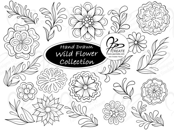 570x428 Wild Flower Collection 20 Hand Drawn Flowers And Leaf Design